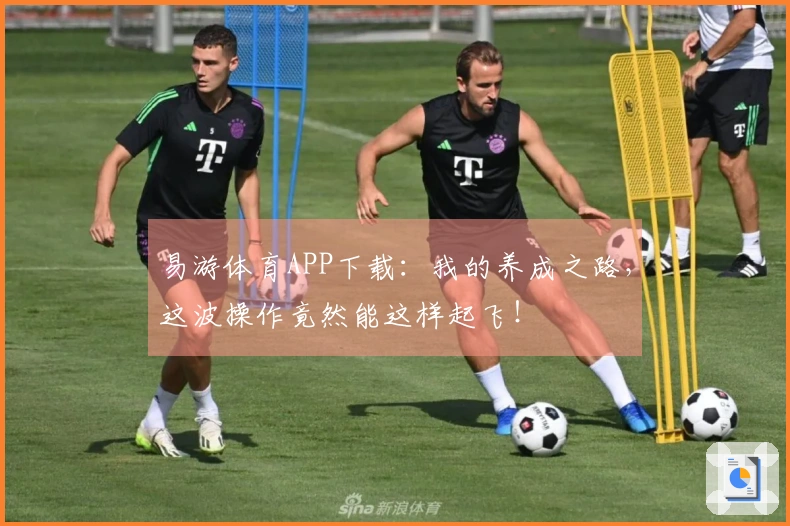 易游体育APP下载：我的养成之路，这波操作竟然能这样起飞！